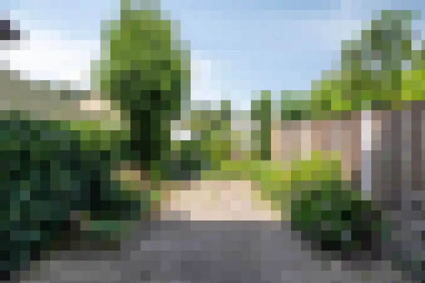 Zwemmer 6 Zwolle thumbnail 26