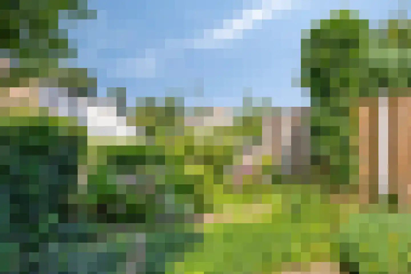Zwemmer 6 Zwolle thumbnail 28