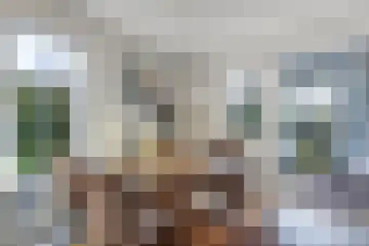 Zwemmer 74 Drachten thumbnail 23