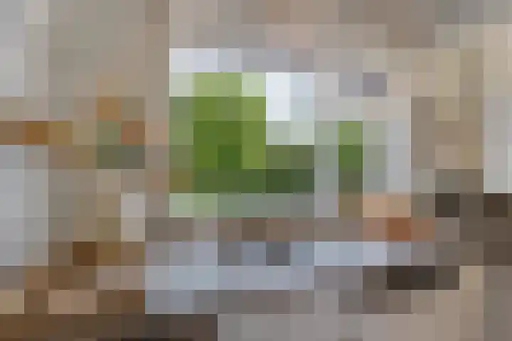 Zwemmer 74 Drachten thumbnail 27