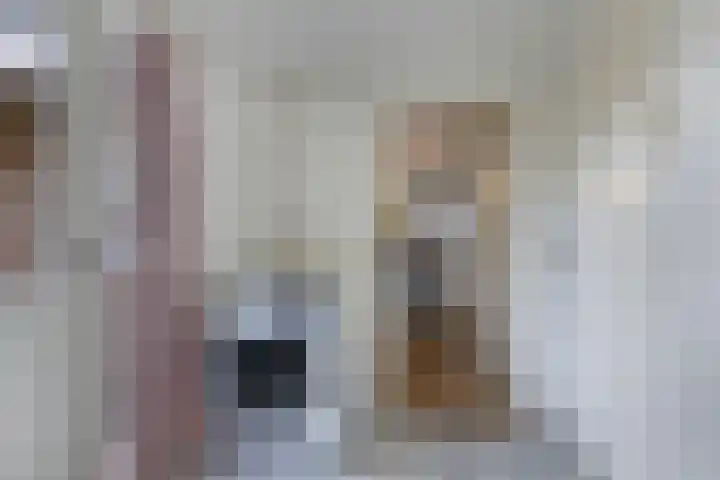 Zwemmer 74 Drachten thumbnail 31