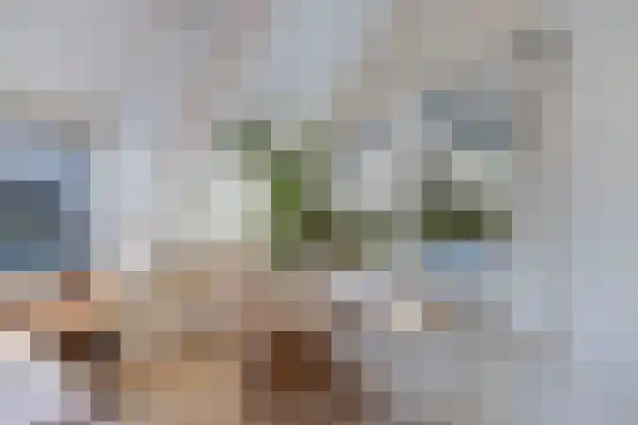 Zwemmer 74 Drachten thumbnail 38