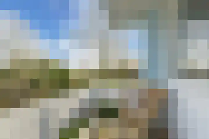 Zwemmer 74 Drachten thumbnail 41