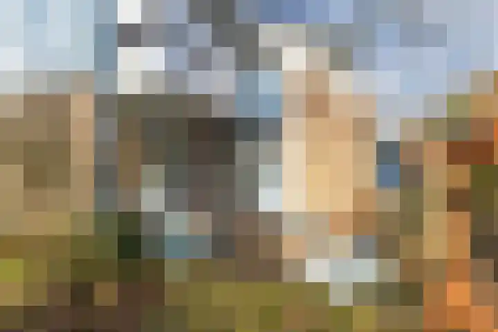 Zwemmer 74 Drachten thumbnail 49