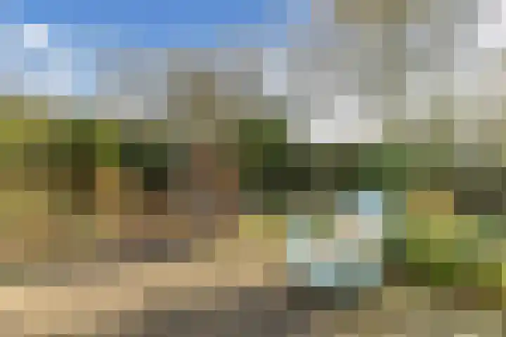 Zwemmer 74 Drachten thumbnail 51