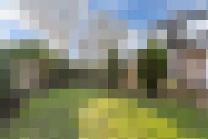 Zwemmer 74 Drachten thumbnail 52