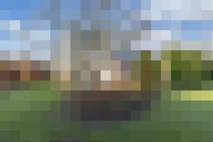 Zwemmer 74 Drachten thumbnail 53