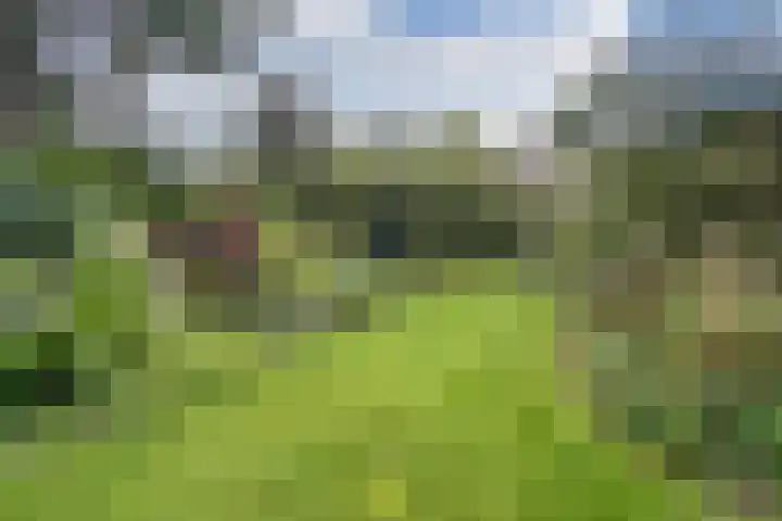 Zwemmer 74 Drachten thumbnail 54