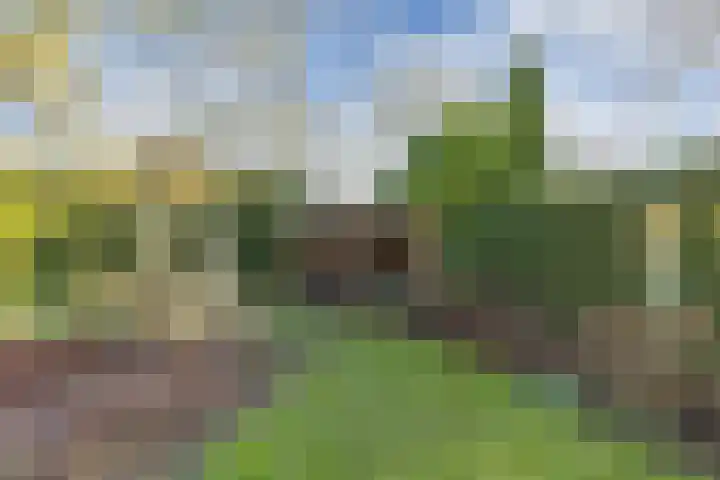 Zwemmer 74 Drachten thumbnail 55