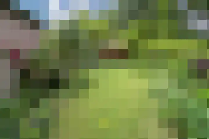 Zwemmer 74 Drachten thumbnail 56