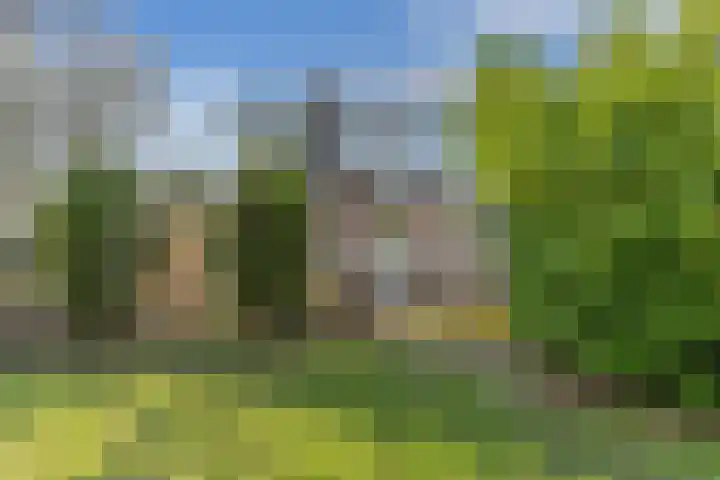 Zwemmer 74 Drachten thumbnail 57