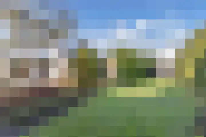 Zwemmer 74 Drachten thumbnail 58