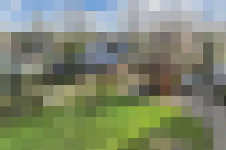 Zwemmer 74 Drachten thumbnail 6