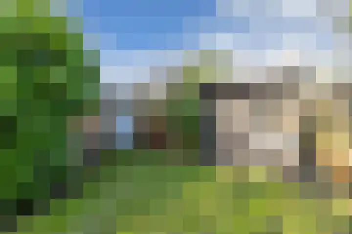 Zwemmer 74 Drachten thumbnail 60
