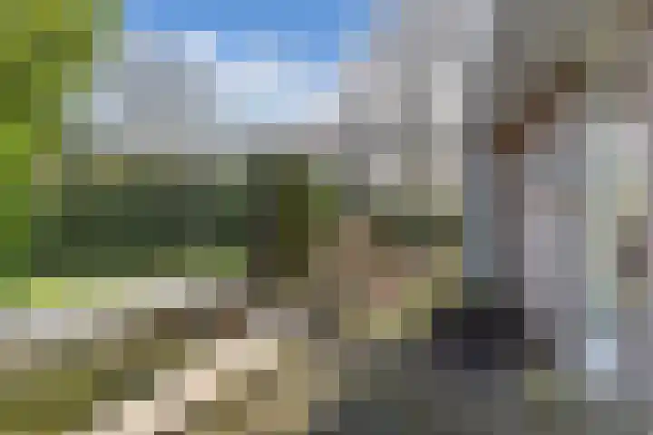 Zwemmer 74 Drachten thumbnail 61