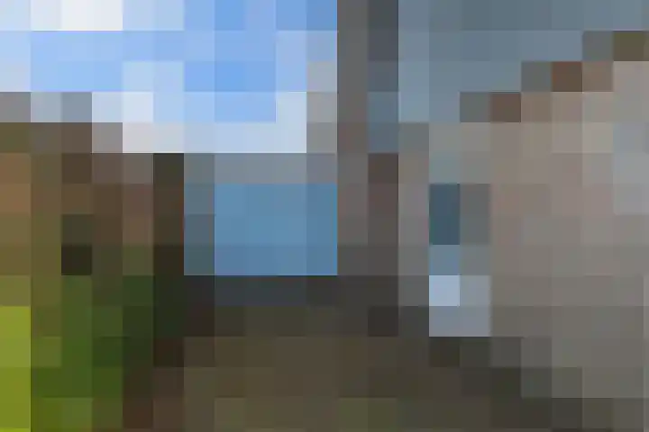 Zwemmer 74 Drachten thumbnail 62