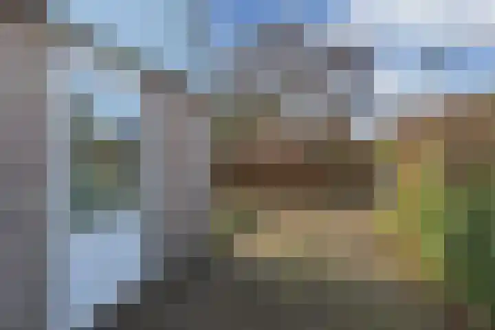 Zwemmer 74 Drachten thumbnail 63