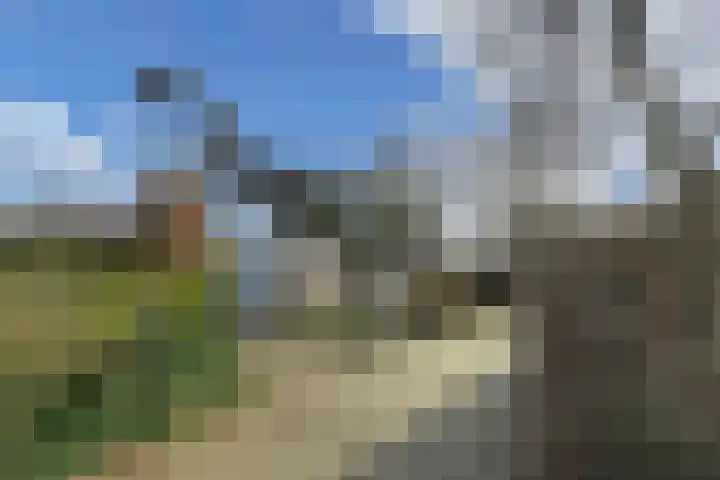 Zwemmer 74 Drachten thumbnail 64