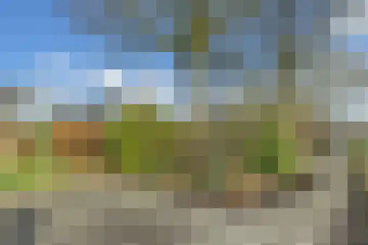Zwemmer 74 Drachten thumbnail 66