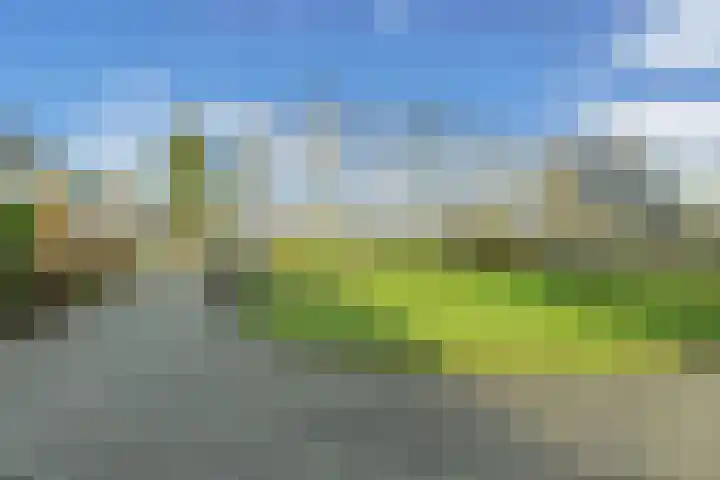 Zwemmer 74 Drachten thumbnail 67