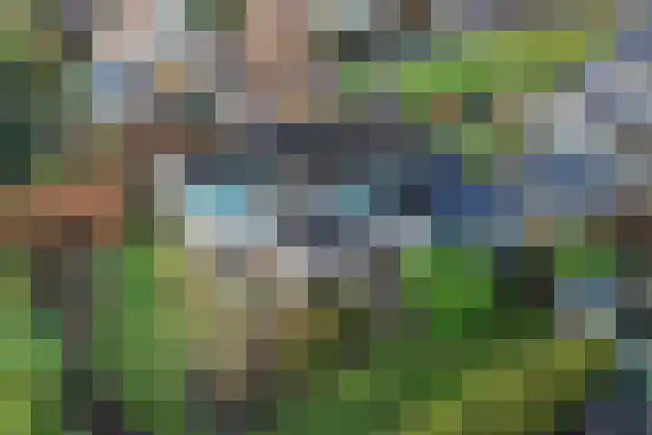Zwemmer 74 Drachten thumbnail 69