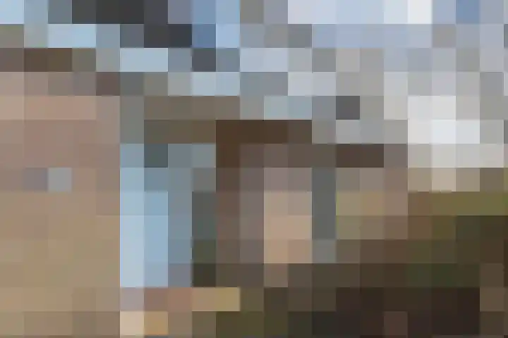 Zwemmer 74 Drachten thumbnail 7