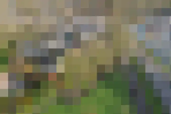 Zwemmer 74 Drachten thumbnail 71