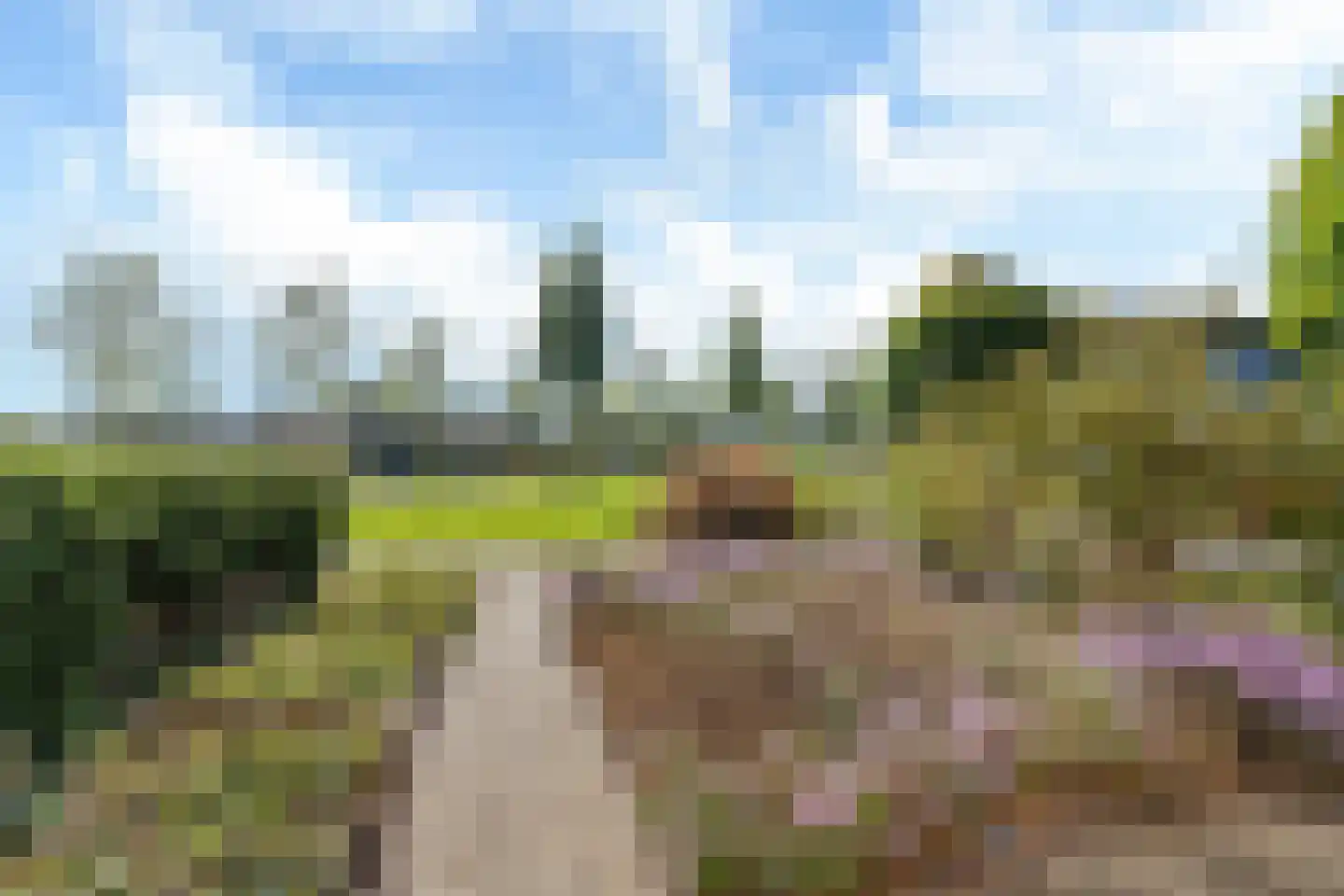 Zwemmer 89 Drachten thumbnail 10
