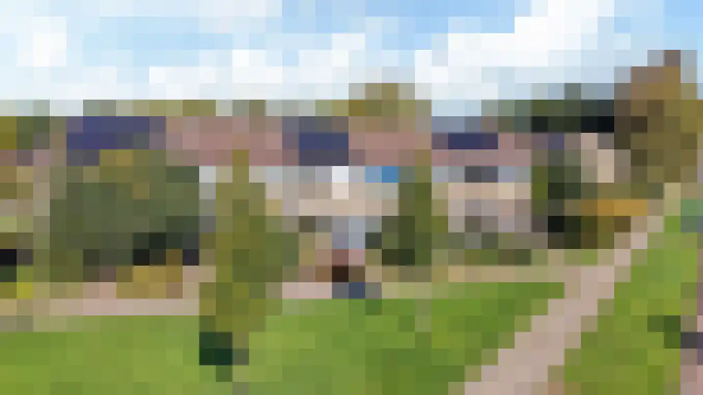 Zwemmer 89 Drachten thumbnail 5