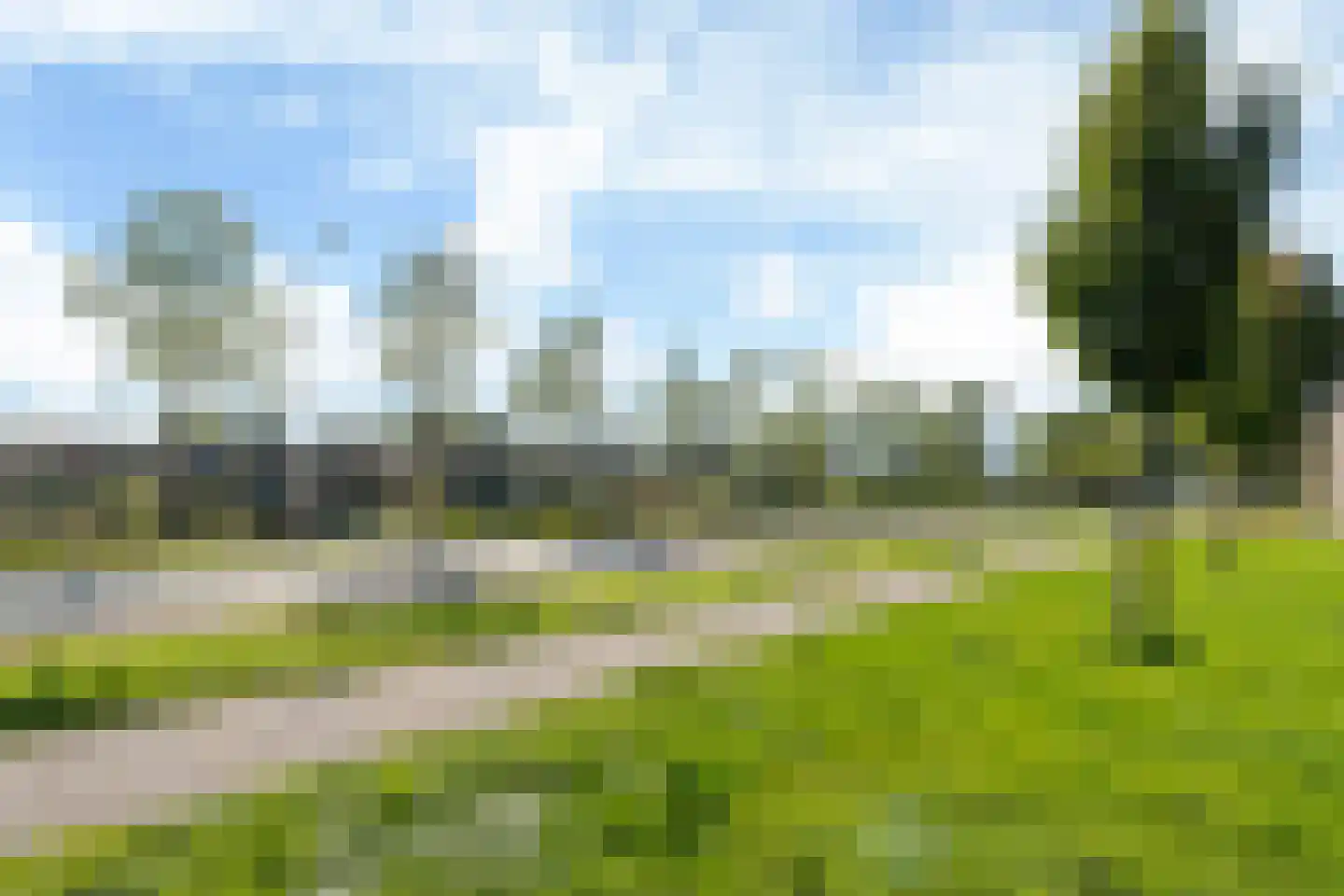 Zwemmer 89 Drachten thumbnail 7
