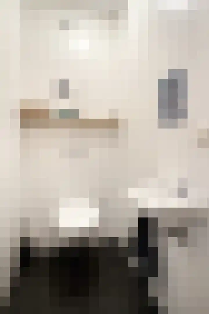 Zwemstraat 5 Fijnaart thumbnail 11