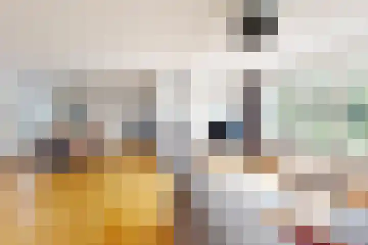 Zwemstraat 5 Fijnaart thumbnail 23