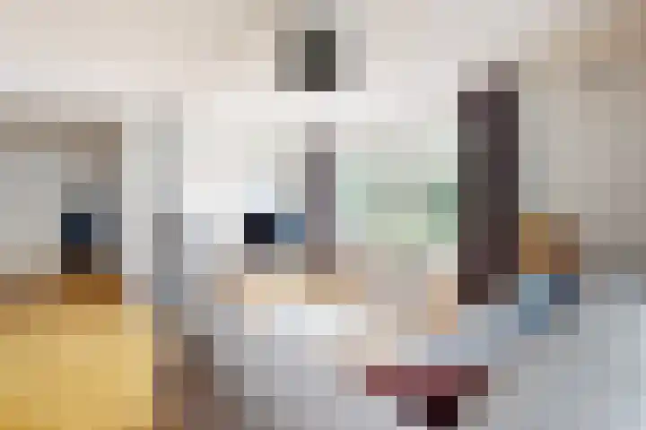 Zwemstraat 5 Fijnaart thumbnail 24