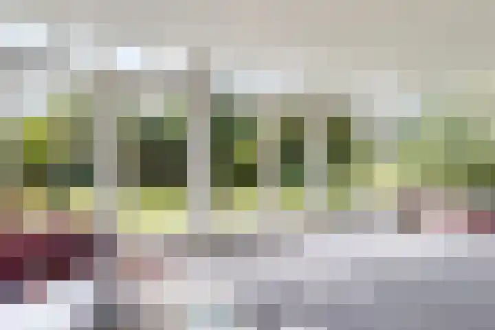 Zwemstraat 5 Fijnaart thumbnail 27
