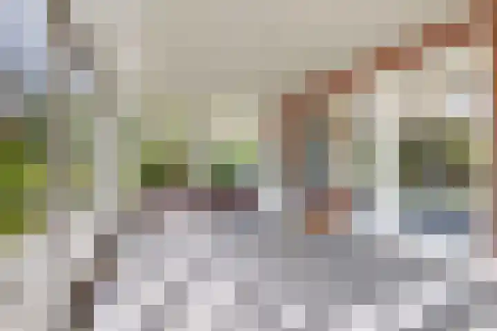 Zwemstraat 5 Fijnaart thumbnail 28