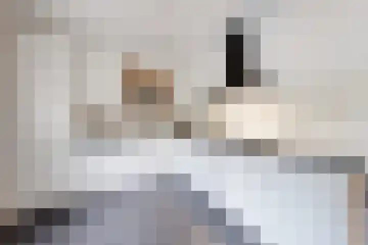 Zwemstraat 5 Fijnaart thumbnail 31