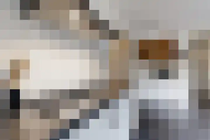 Zwemstraat 5 Fijnaart thumbnail 34