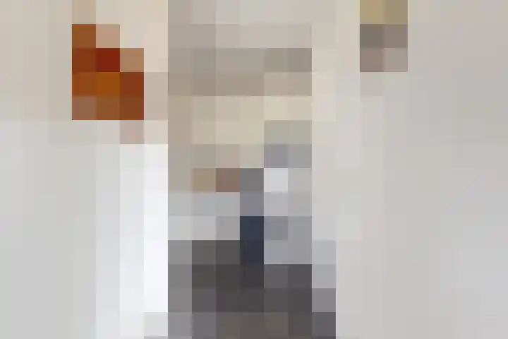 Zwemstraat 5 Fijnaart thumbnail 36