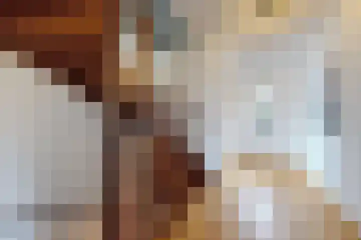 Zwemstraat 5 Fijnaart thumbnail 39