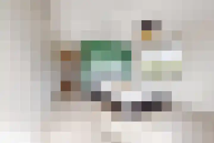 Zwemstraat 5 Fijnaart thumbnail 42