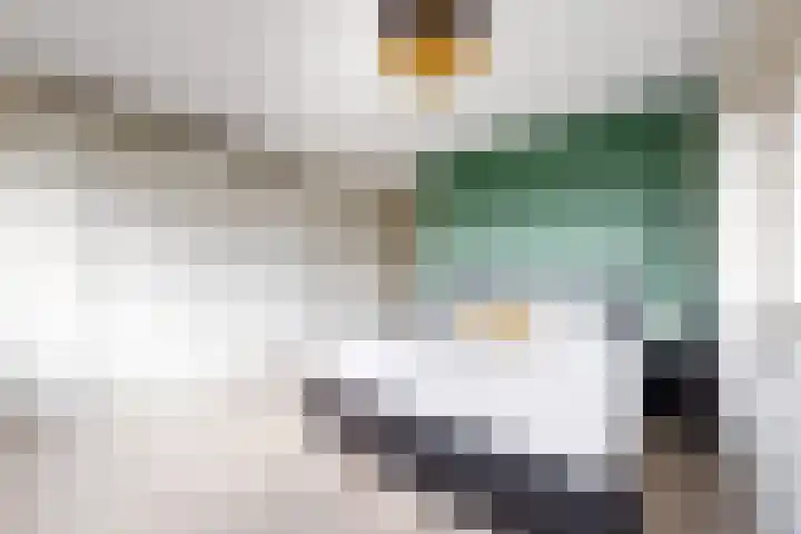 Zwemstraat 5 Fijnaart thumbnail 43