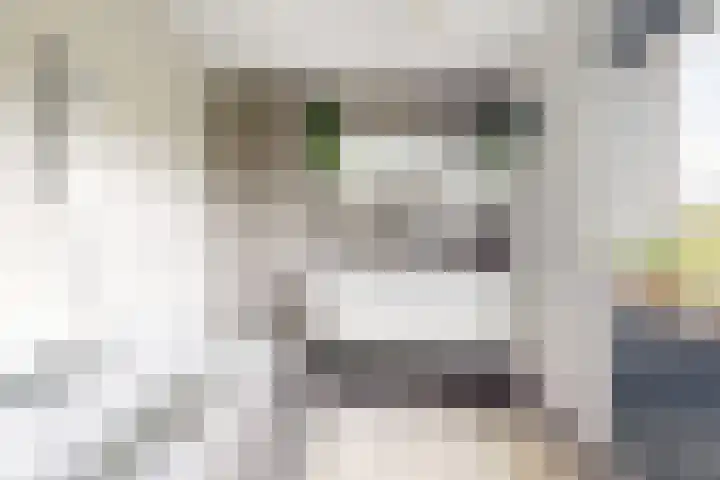 Zwemstraat 5 Fijnaart thumbnail 5