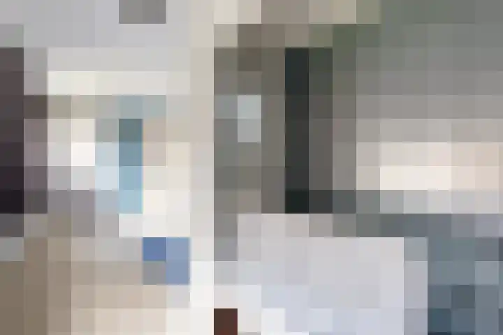 Zwemstraat 5 Fijnaart thumbnail 49