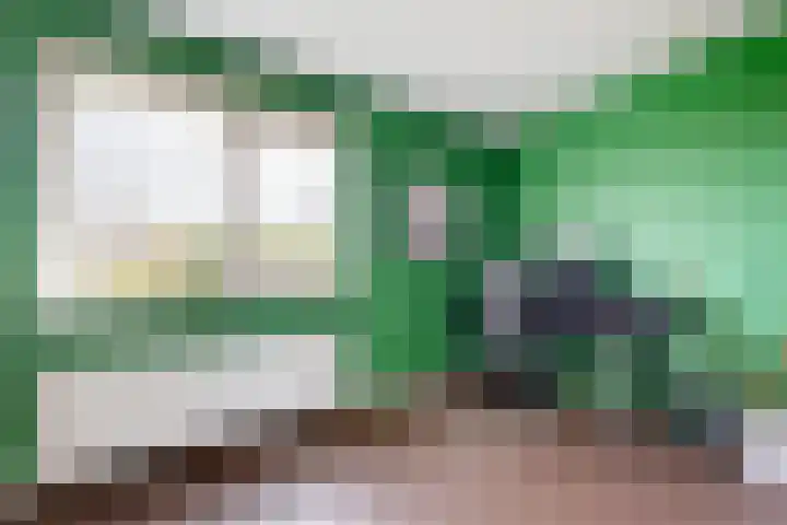 Zwemstraat 5 Fijnaart thumbnail 50