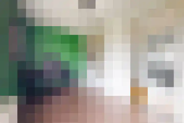 Zwemstraat 5 Fijnaart thumbnail 51