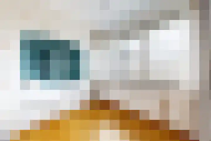 Zwemstraat 5 Fijnaart thumbnail 53