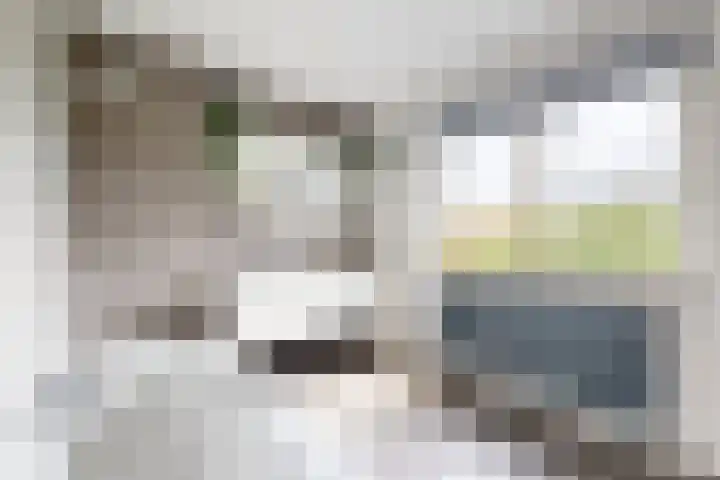 Zwemstraat 5 Fijnaart thumbnail 56