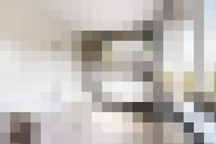 Zwemstraat 5 Fijnaart thumbnail 58