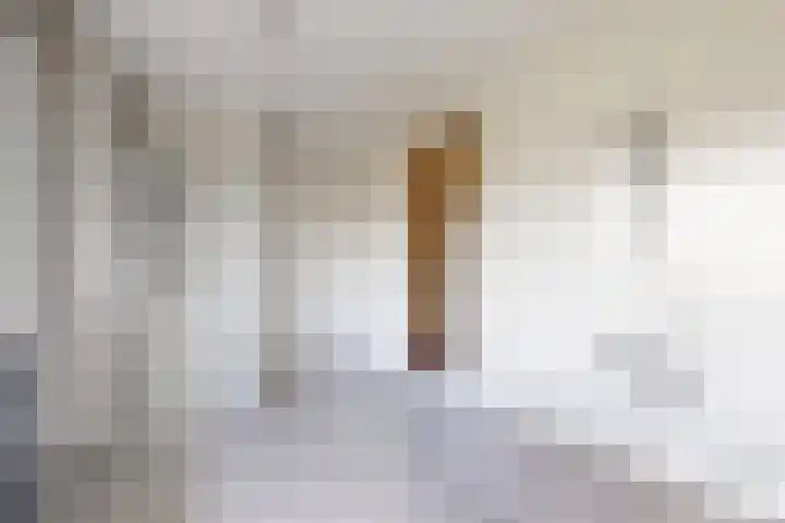 Zwemstraat 5 Fijnaart thumbnail 59