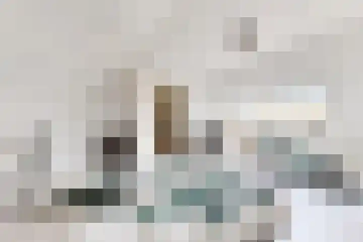 Zwemstraat 5 Fijnaart thumbnail 68